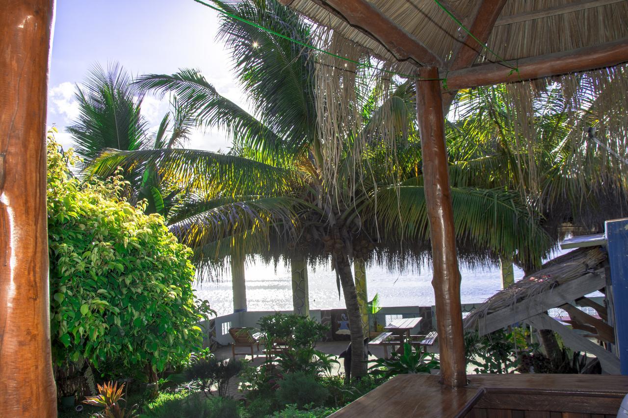 Dolphin Dhow Beach Safaris Виланкулос Экстерьер фото